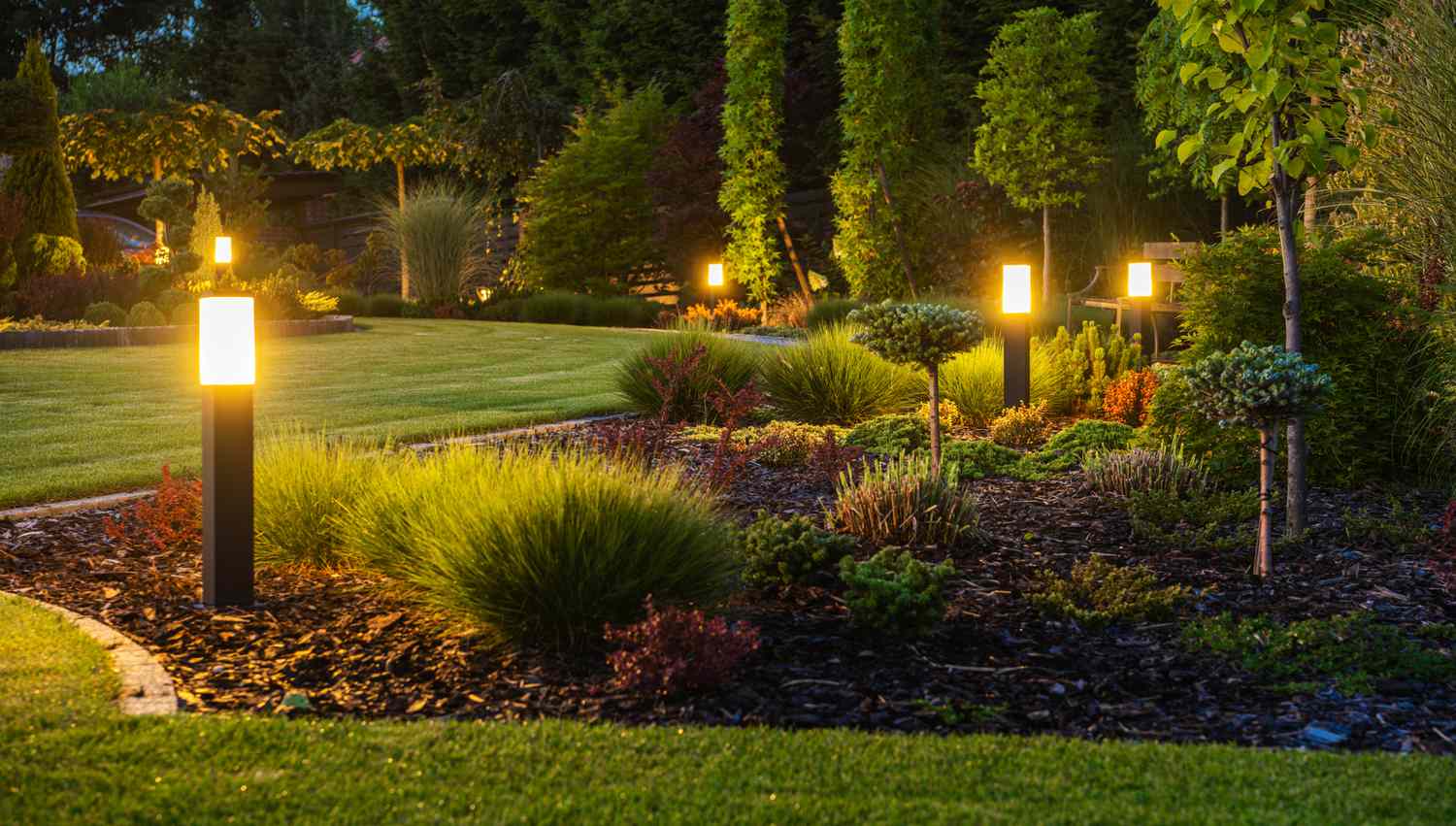 Manicured back lawn lit with ambient lighting 