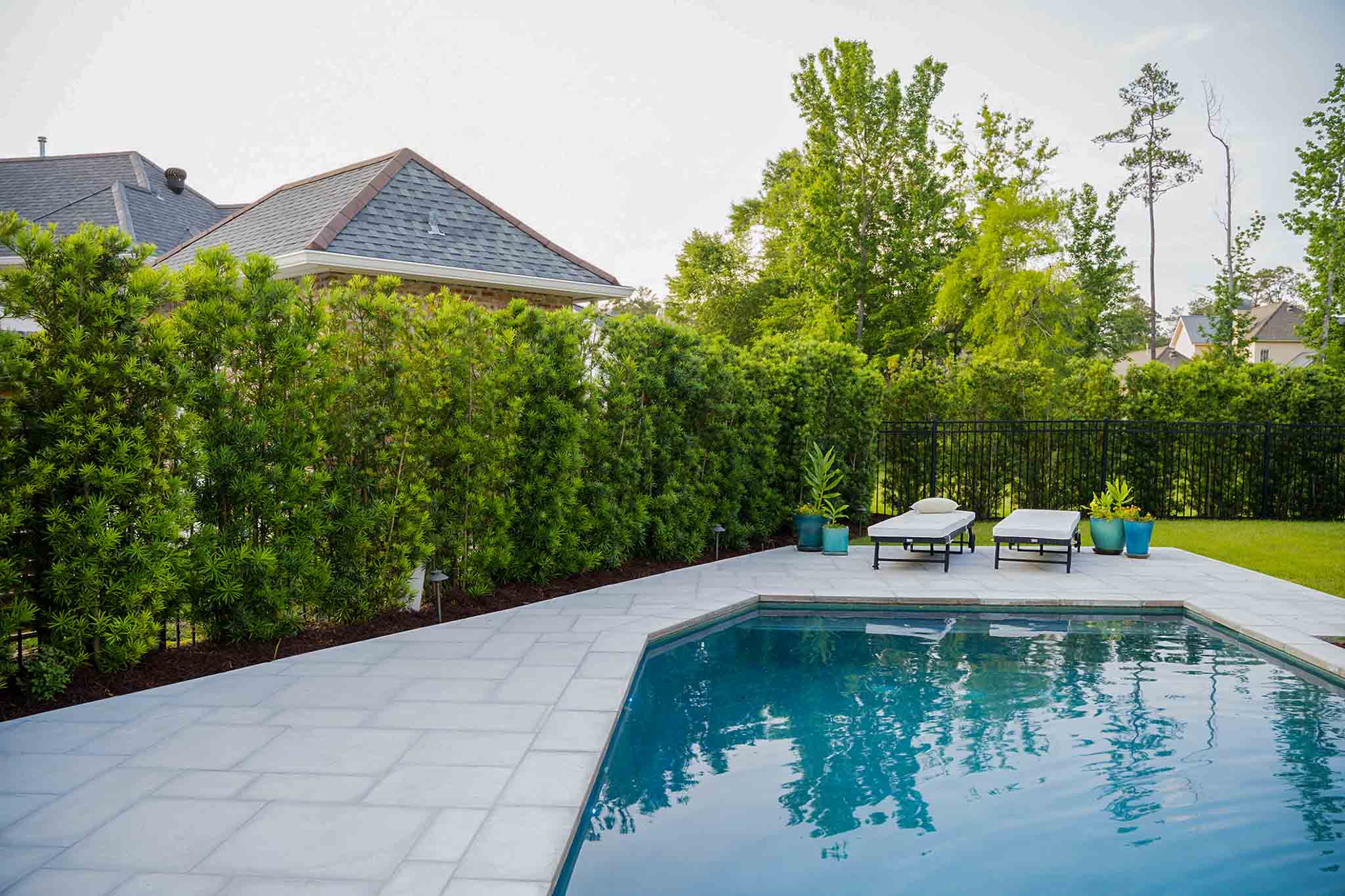 Pool in backyard with tiled surround and hedges growing on the fence. 